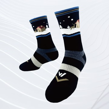 【雪之夜】✨極致速乾美麗諾羊毛襪-單雙 | M/L/XL