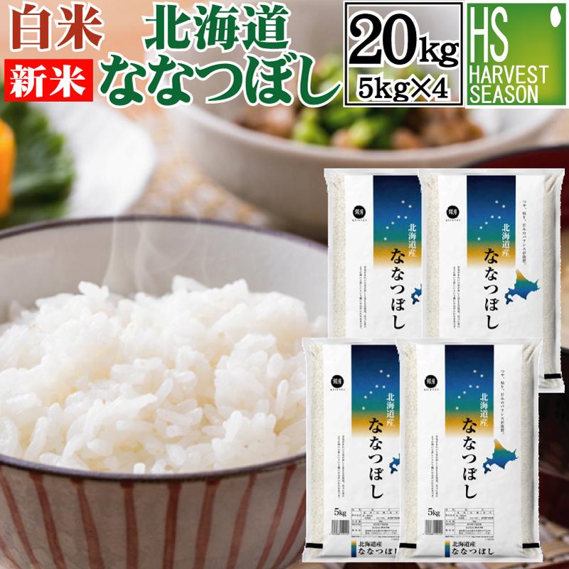 新米 20kg ななつぼし 北海道産 5kg×4袋 精白米 白米 令和5年産 送料無料 特A