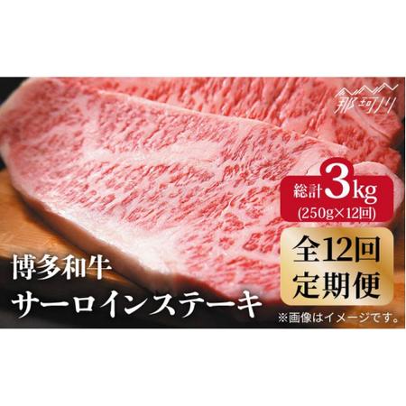 ふるさと納税 博多和牛 牛肉 A5 サーロイン ステーキ 250g×1枚＜株式会社MEAT PLUS＞那珂川市 定期便 牛肉 肉 黒毛和牛 .. 福岡県那珂川市