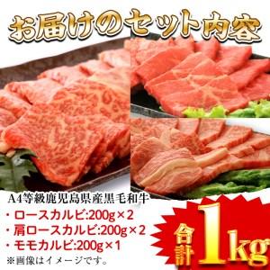 ふるさと納税 a484 鹿児島県産黒毛和牛(A4等級)焼肉用スライス牛肉(計1kg)カルビ3種詰め合わせセット 鹿児島県姶良市