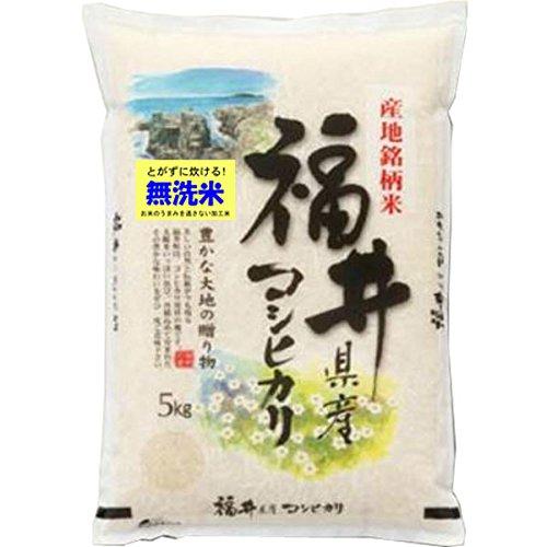 新米 令和5年産 無洗米 福井コシヒカリ 令和5年産 福井県 こしひかり 5kg 