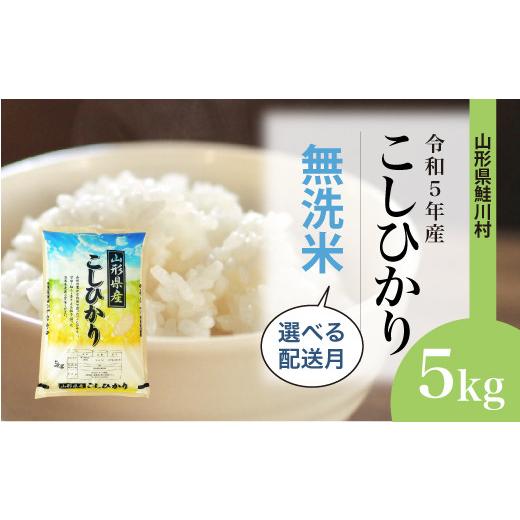 ふるさと納税 山形県 鮭川村 令和5年産　鮭川村　コシヒカリ5kg（5kg×1袋）