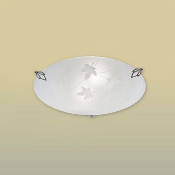 玻璃吸頂二燈 B244-81-25196