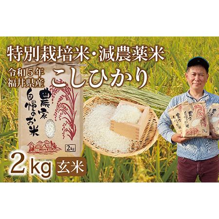 ふるさと納税 〈新米〉減農薬米 こしひかり 2kg ／令和5年福井県産 （玄米） 福井県越前市