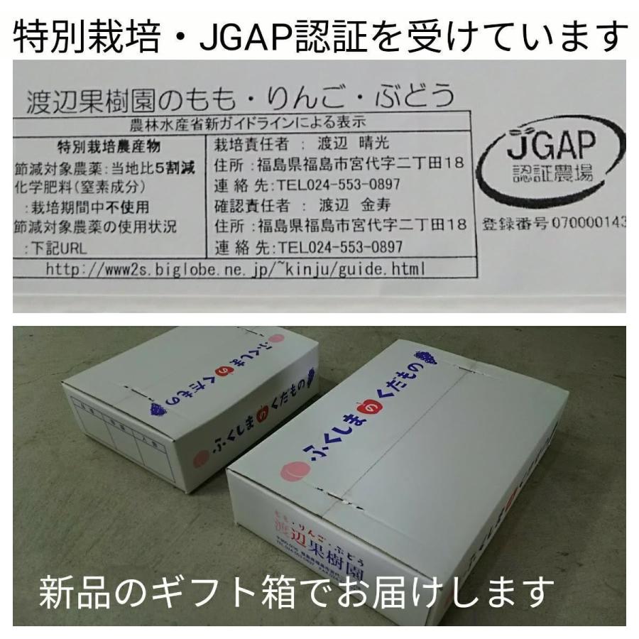 サンふじレギュラー小玉20〜22個入（箱込5kg）12月以降発送