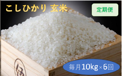 定期便 6回 こだわり コシヒカリ 玄米 10kg   お米