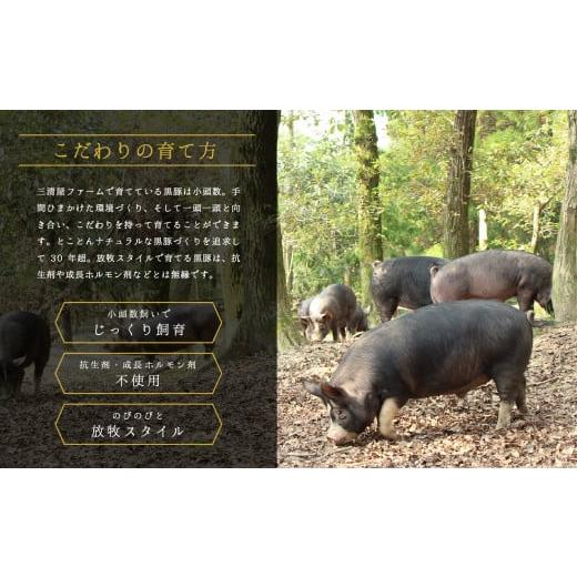 ふるさと納税 鹿児島県 鹿屋市 2171 希少「かごしま森の黒豚」 訳あり 黒豚ジャンボソーセージ 1100ｇ