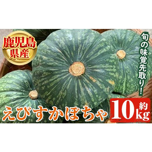 ふるさと納税 鹿児島県 阿久根市 ＜先行予約受付中！2024年5月より順次発送＞鹿児島県産 えびすかぼちゃ(約10kg) 国産 野菜 かぼちゃ カボチャ 南瓜 煮物 天ぷ…