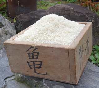 12回 定期便 希少品種米 ササシグレ 精米 5kg×12回 総計60kg   長沼 太一   宮城県 加美町