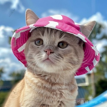 🎇可開發票✨寵物夏天狗狗遮陽帽泰迪小狗漁夫帽耳朵貓貓比熊小狗狗帽子太陽帽#免運