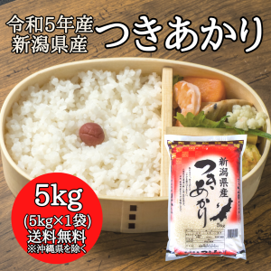 新潟県産 つきあかり 5kg （5キロ×1袋）  米 5キロ 送料無料 精米 令和5年 5kg お米 5kg