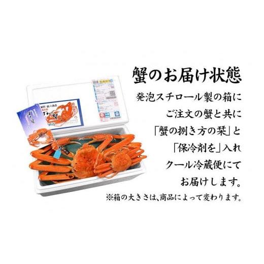 ふるさと納税 石川県 加賀市 石川県産 加能かに／ズワイガニ 産地証明タグ付 訳あり 足折れ 小サイズ 2〜3匹 合計1.0kg ※茹で上げ前重量