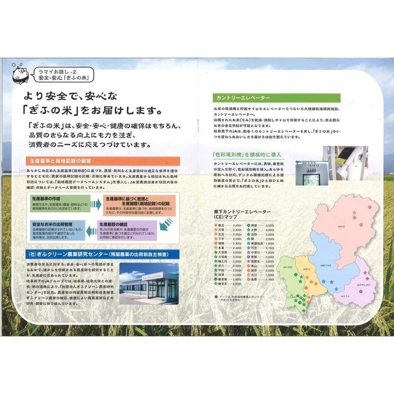 精米 岐阜県産 白米 美濃ハツシモ 5kg 令和4年産