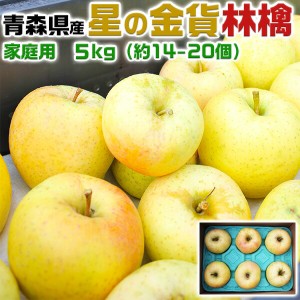 青森りんご 星の金貨 家庭用 5kg 林檎予約品：10月下旬～収穫次第順次・出荷開始