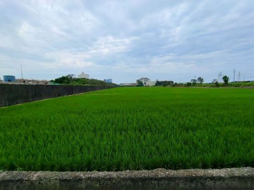 蘆竹區出水段交通用地+一般農地｜桃園市蘆竹區出水段