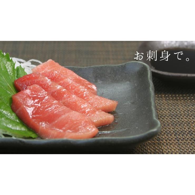 本マグロ中トロ 1kg 送料無料 解凍レシピ付 刺身 海鮮 食べ物 メガ盛り《pbt-bf14》〈bf1〉yd9[[本鮪中トロセット1kg]