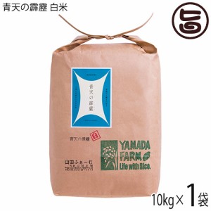 山田ふぁーむ さつき米青天の霹靂 白米 10kg 青森県 お米 減化学肥料 減農薬