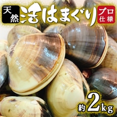 プロも認める活はまぐり 国産 天然  約2.0kg 千葉県産 九十九里産