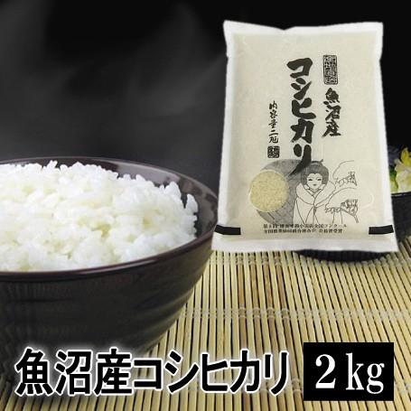 米 2kg 魚沼産コシヒカリ 令和5年産 白米