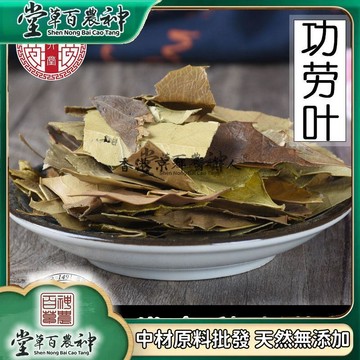 【神農百草堂】功勞葉十大功勞葉枸骨葉貓兒刺八角刺500g 自然曬幹【原材批發】