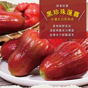 【初品果】屏東枋寮黑珍珠蓮霧禮盒4斤26-32顆x4盒_01/21-01/30出貨