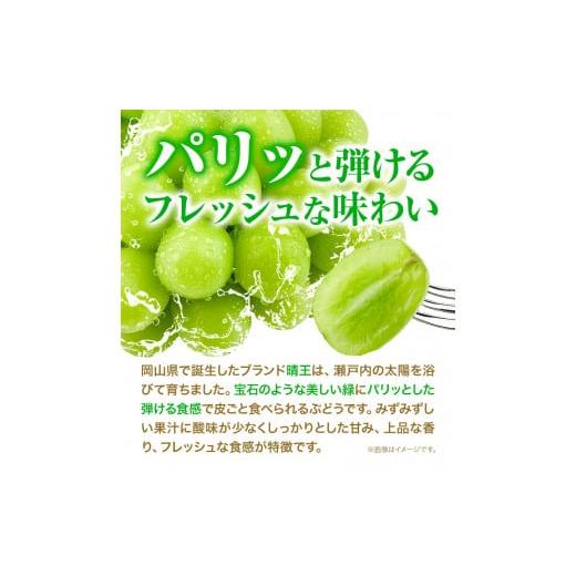 ふるさと納税 岡山県 浅口市 ぶどう 2ヶ月 定期便 [2024年先行予約] シャインマスカット 晴王 岡山県産 2房 約1kg《9月上旬-11月上旬頃出荷(土日祝除く)》 ハ…