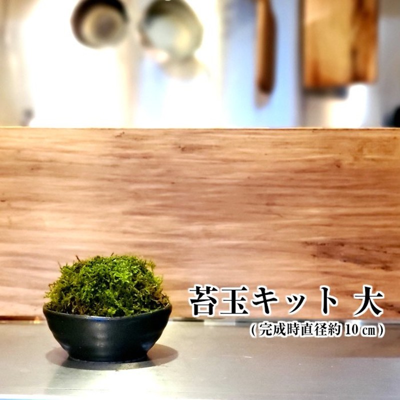 苔玉の作り方 苔玉キット 大 手作り キット 初心者 材料 説明書付 通販 LINEポイント最大0.5%GET | LINEショッピング