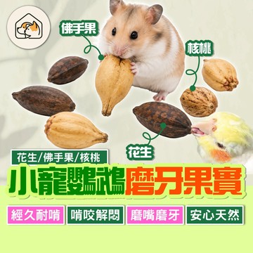 《家有毛孩🐾》小寵磨牙果實 鸚鵡磨牙玩具 磨牙零食 鳥磨牙用品 倉鼠磨牙玩具 啃咬玩具 果實啃咬 小寵磨牙 小寵用品