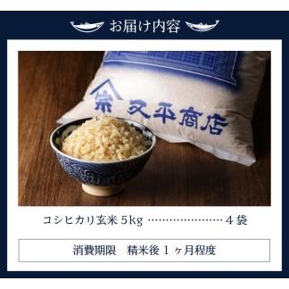 ふるさと納税 a35-002　令和5年産新米 玄米 20kg コシヒカリ 静岡県焼津市