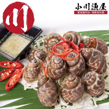 【小川漁屋】嚴選活凍鳳螺6包(500g±10%/包)免運組
