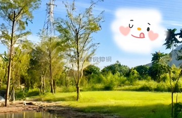 落雨松池畔靜謐農地｜山泉清流・綠意環繞・遠離｜花蓮縣吉安鄉初音段