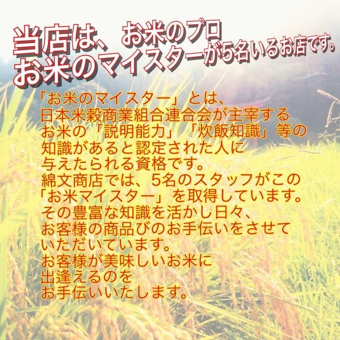 新米 千葉県産 白米 ふさこがね 5kg 令和5年産