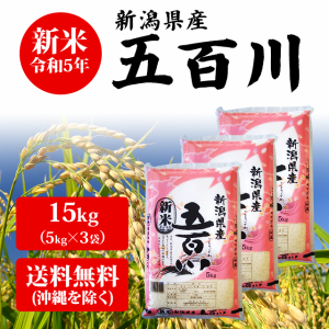  新潟県産 五百川 15kg （5kg×3袋） 米 15キロ 送料無料 お米 新米 15kg 安い 産地直