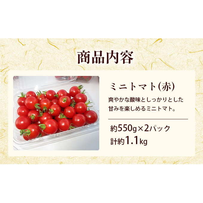  北海道 滝川市 産 ミニトマト (赤) 約1.1kg トマト 野菜 やさい みにとまと