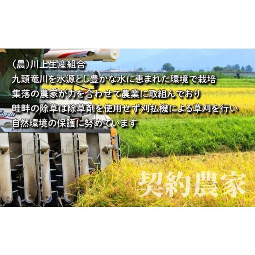 ふるさと納税 福井県 大野市 こしひかり 5kg×12回 計60kg「エコファーマー米」水のまちのお米