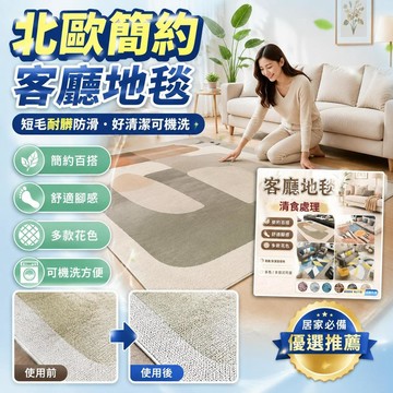 🚀隔日現發🚀北歐簡約客廳地毯 短毛耐髒防滑 臥室牀邊地墊 房間長條毯 網美風地毯 貓狗耐磨 好清潔可機洗