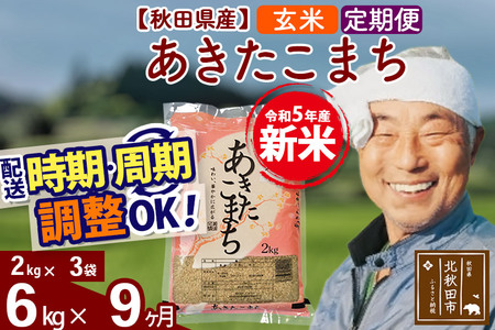 《定期便9ヶ月》＜新米＞秋田県産 あきたこまち 6kg(2kg小分け袋) 令和5年産 配送時期選べる 隔月お届けOK お米 おおもり