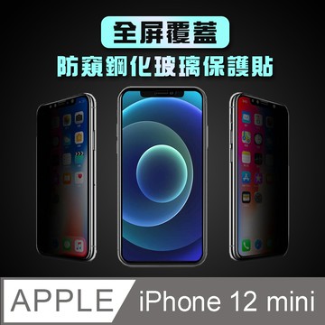 iPhone 12 mini 5.4吋 【防窺】黑邊滿版鋼化玻璃保護貼膜