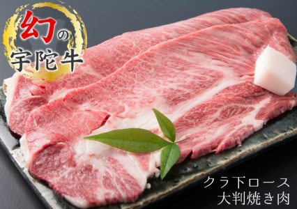 (チルド)宇陀牛　黒毛和牛　クラシタ　ロース　大判焼肉用　約1kg／冷蔵発送　新鮮なお肉　希少　特産　マニアの通うブランド牛　肉通　奈良県　宇陀市　菟田野　山繁