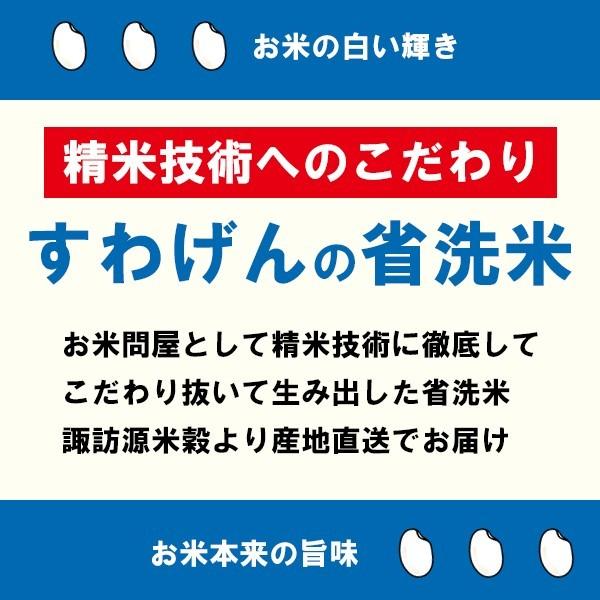 新米 令和5年産 引越し 挨拶 ギフト 退職 お礼 白米 お米 真空パック 30個セット 手渡し袋付き プレゼント 贈答品 国産 お年賀 景品 快気祝 お返し