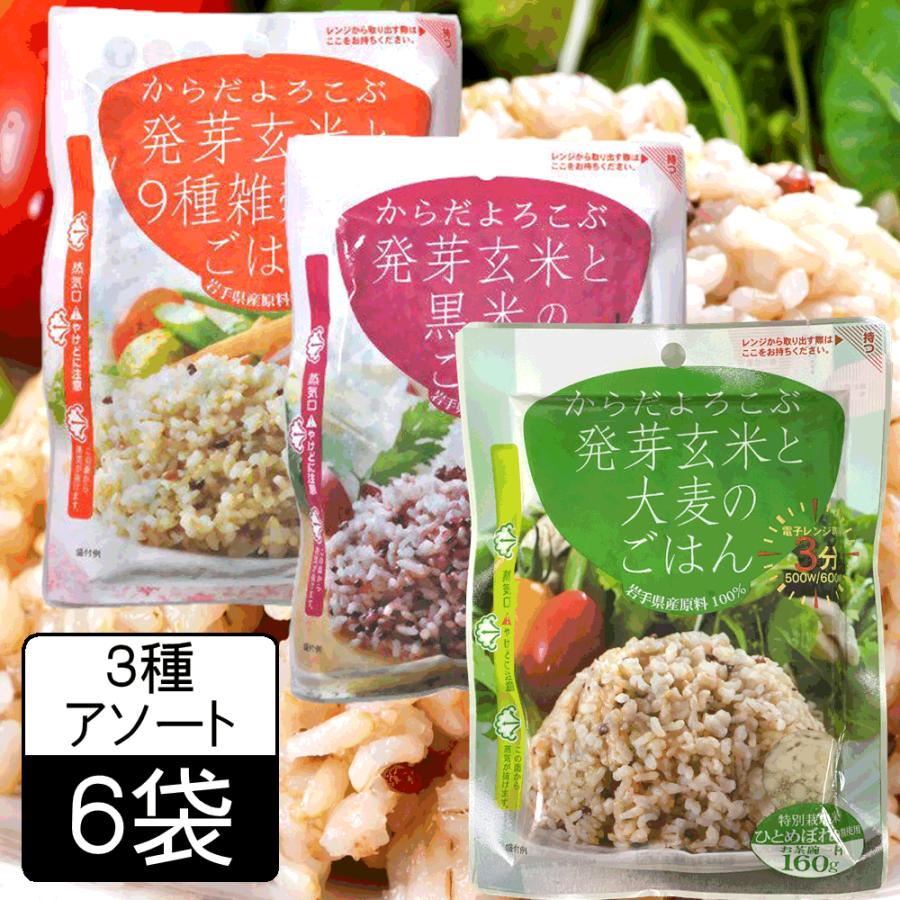 パックご飯 雑穀 発芽玄米ごはん 160g×6袋セット (9種雑穀・黒米・大麦 3種×各2袋)　国産 送料無料レンジご飯 レトルト