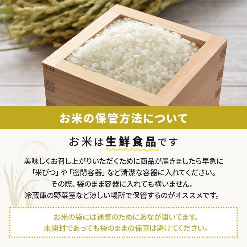 令和5年産 熊本県産 無洗米 キヌヒカリ 5kg 米 精米 白米 お米 こめ 熊本 熊本の米 産地直送 送料無料