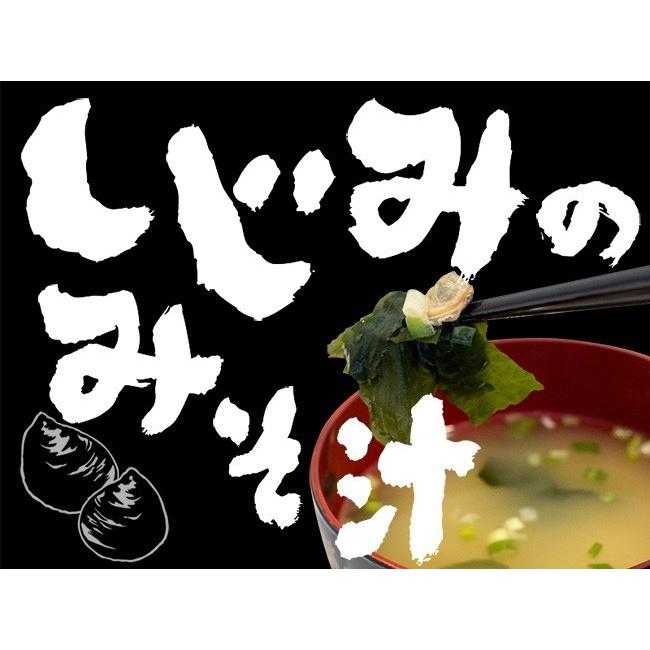 しじみのみそ汁 8袋入×2袋(肝心要の養生記 蜆の即席味噌汁)スゴイ！しじみの底力！！ 一杯でシジミ100個分相当のオルニチン