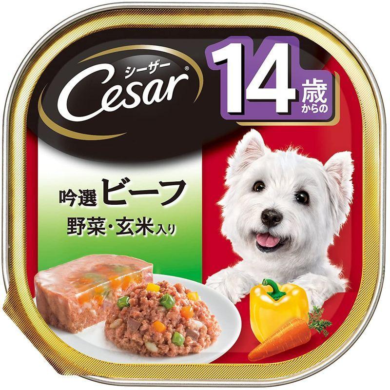 数量限定 計38個 シーザー シーザーCesar 14歳からの吟選ビーフ 6個 犬用品