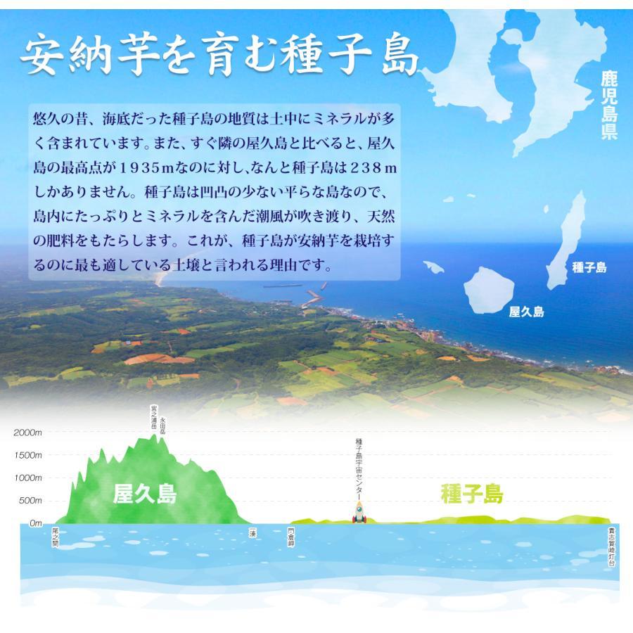 さつまいも 3kg 安納芋・極ちび 種子島産 ご家庭用 送料無料 食品