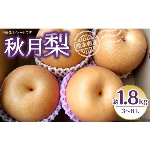 ふるさと納税 熊本県 八代市 秋月梨 約1.8kg (3~6玉) 梨 なし 秋月