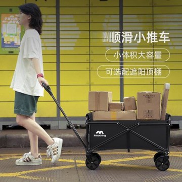 買菜車購物家用露營具車拖車搬取快遞小推車牧行疊兒童野營