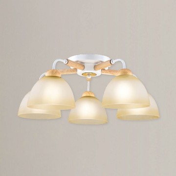 北歐風半吸頂五燈 B209-81-23542