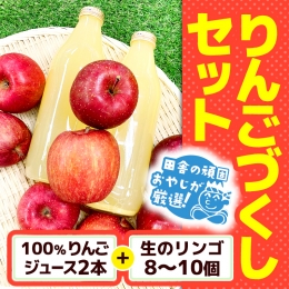 田舎の頑固おやじが厳選！100％りんごジュース2本＆生りんご8～10個のりんごづくしセット [BI66-NT]