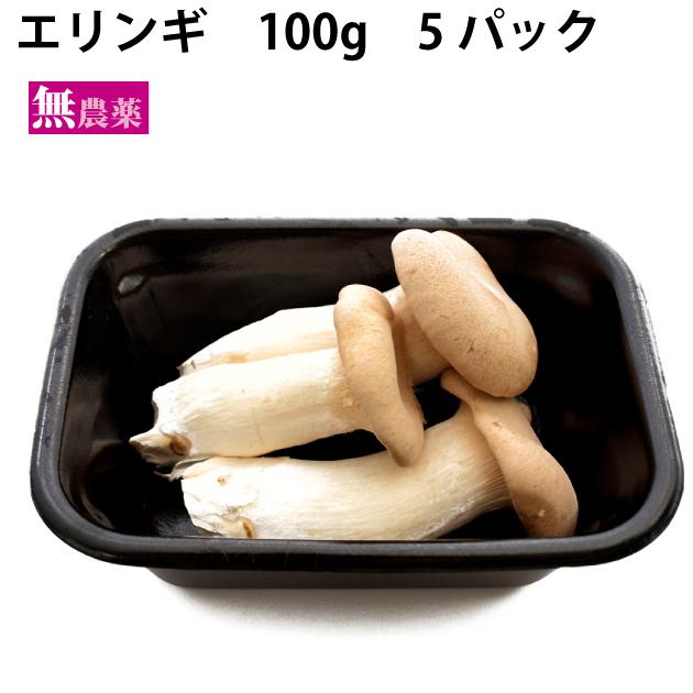 きのこ　静岡県産 エリンギ  100g×5パック 送料込